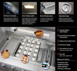 Delta Heat 32" Built-in Grill W Rotisserie - DHBQ32R -Weber Shop Delta Heat Grill Features 63635.1686341522.1500.1500