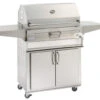 Firemagic 30" Charcoal Grill W Smoker Oven/Hood On Cart -Weber Shop charcoal cart 29186.1477024125.1500.1500